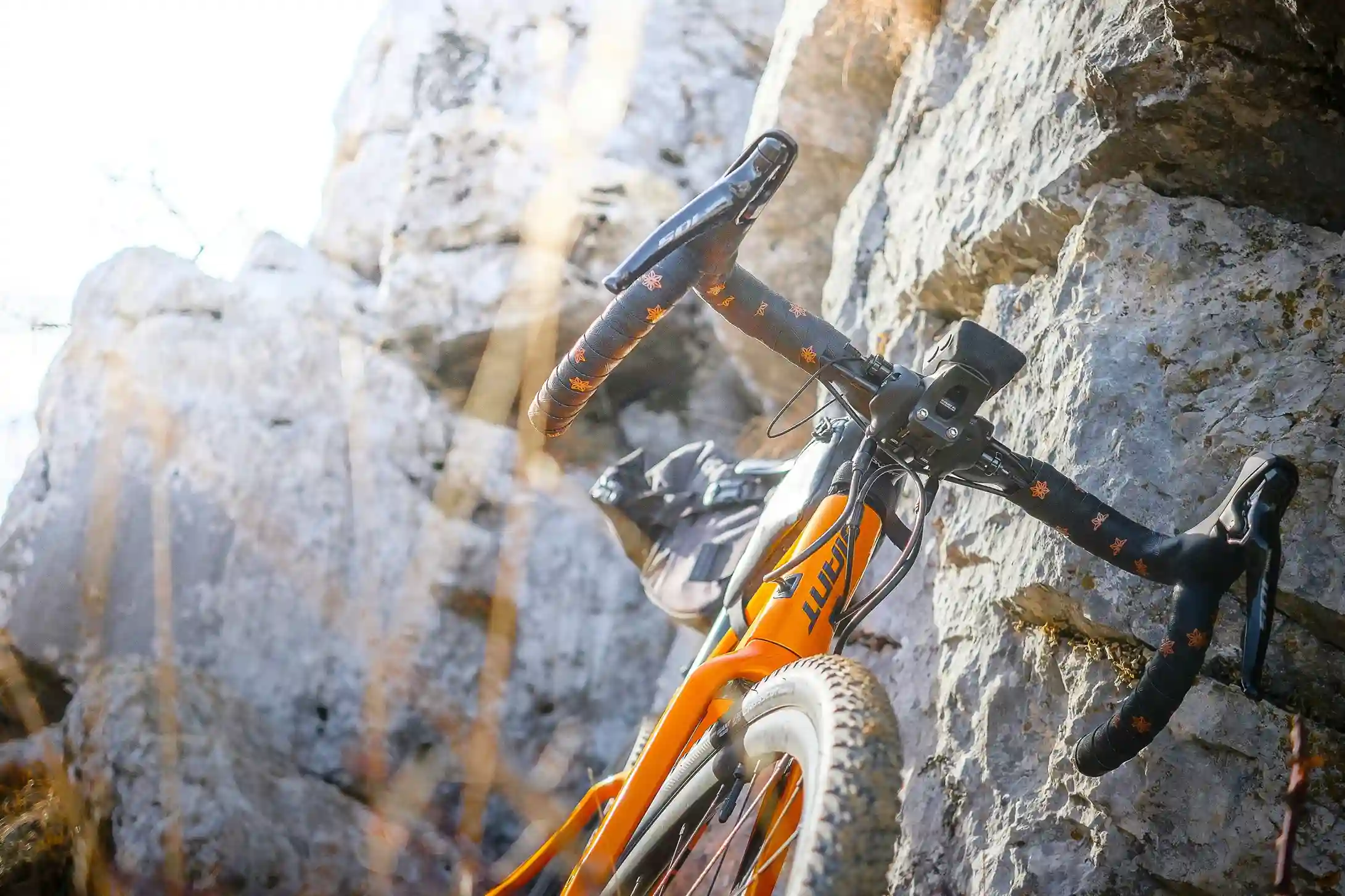 Les 4 sites et applications indispensables pour les passionnés de cyclisme