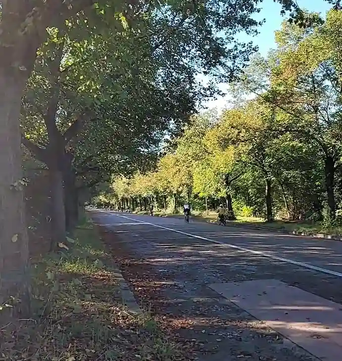 Où faire du vélo de route à Paris ? : 3 itinéraires