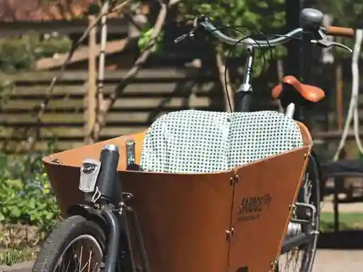 Découvrir les vélos cargo disponibles