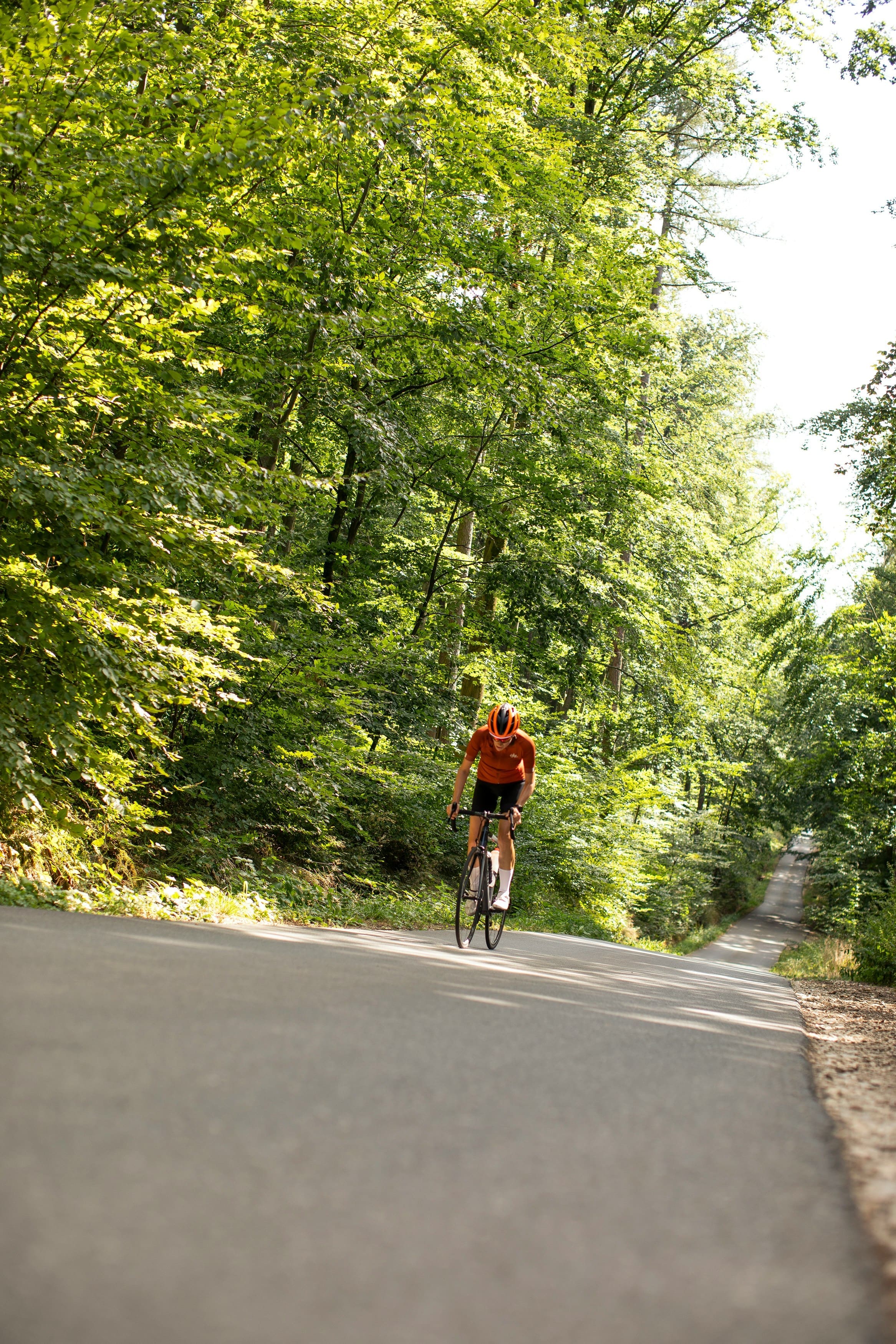 velo_de_route